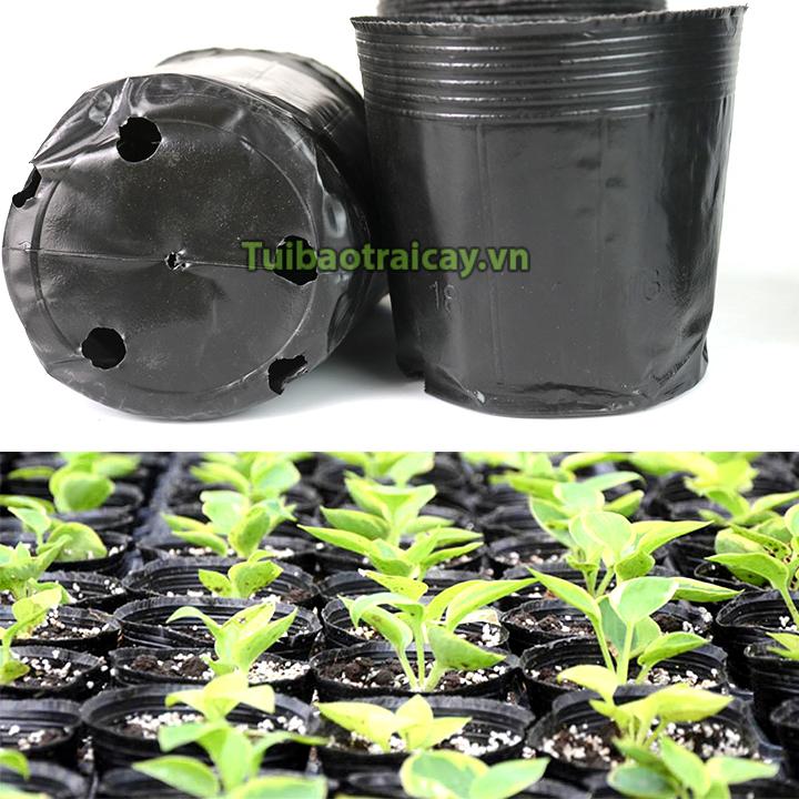 1Kg Chậu nhựa mềm ươm cây 18x16