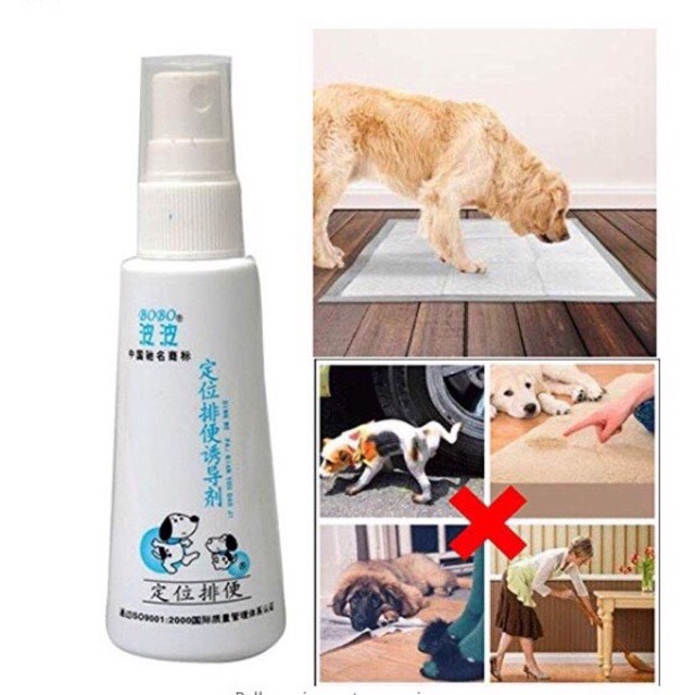 Chai xịt vệ sinh đúng chỗ Bobo 60ml cho chó mèo