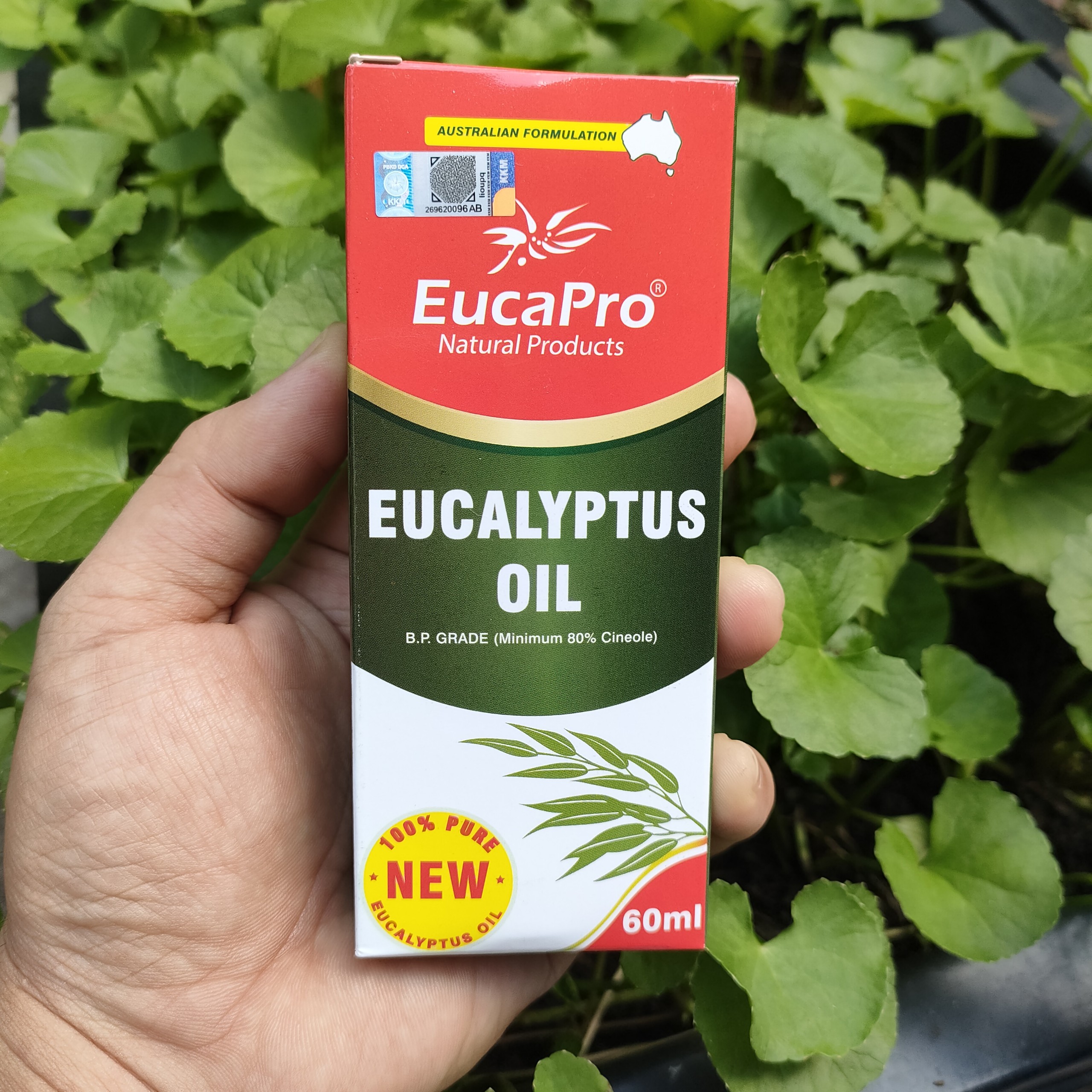 Dầu khuynh diệp eucapro / dầu kangaroo thái lan/ euky bear dầu úc, dầu khuynh diệp úc