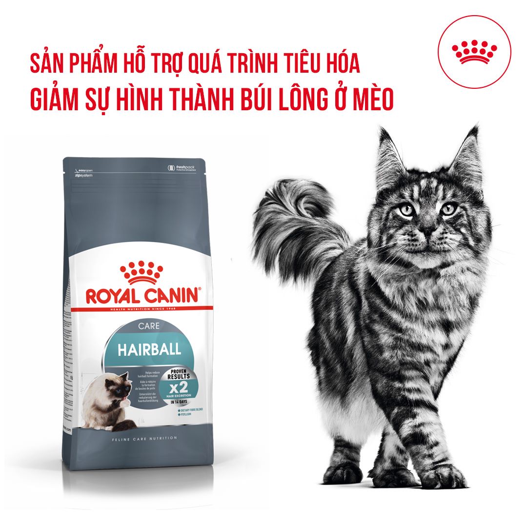 thức ăn hạt tiêu hóa búi lông ( Hairball) của Royal canin dành cho mọi loại mèo - T3 PETS SHOP