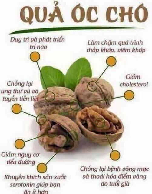 Óc chó khô núi rừng sapa 1 kg tặng kèm kìm tách vỏ