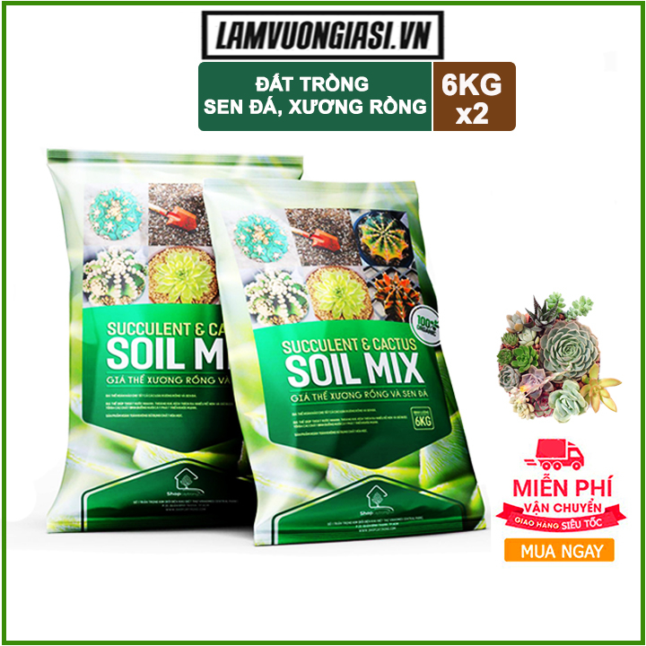 Bộ 2 túi 6kg Đất trồng sen đá, xương rồng  trộn sẵn đẩy đủ dinh dưỡng, thoát nước cực tốt Soil Mix