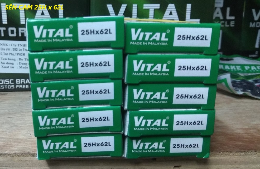 [HCM]Sên Cam / Xích Cam 25H x 62L > Thương Hiệu VITAL