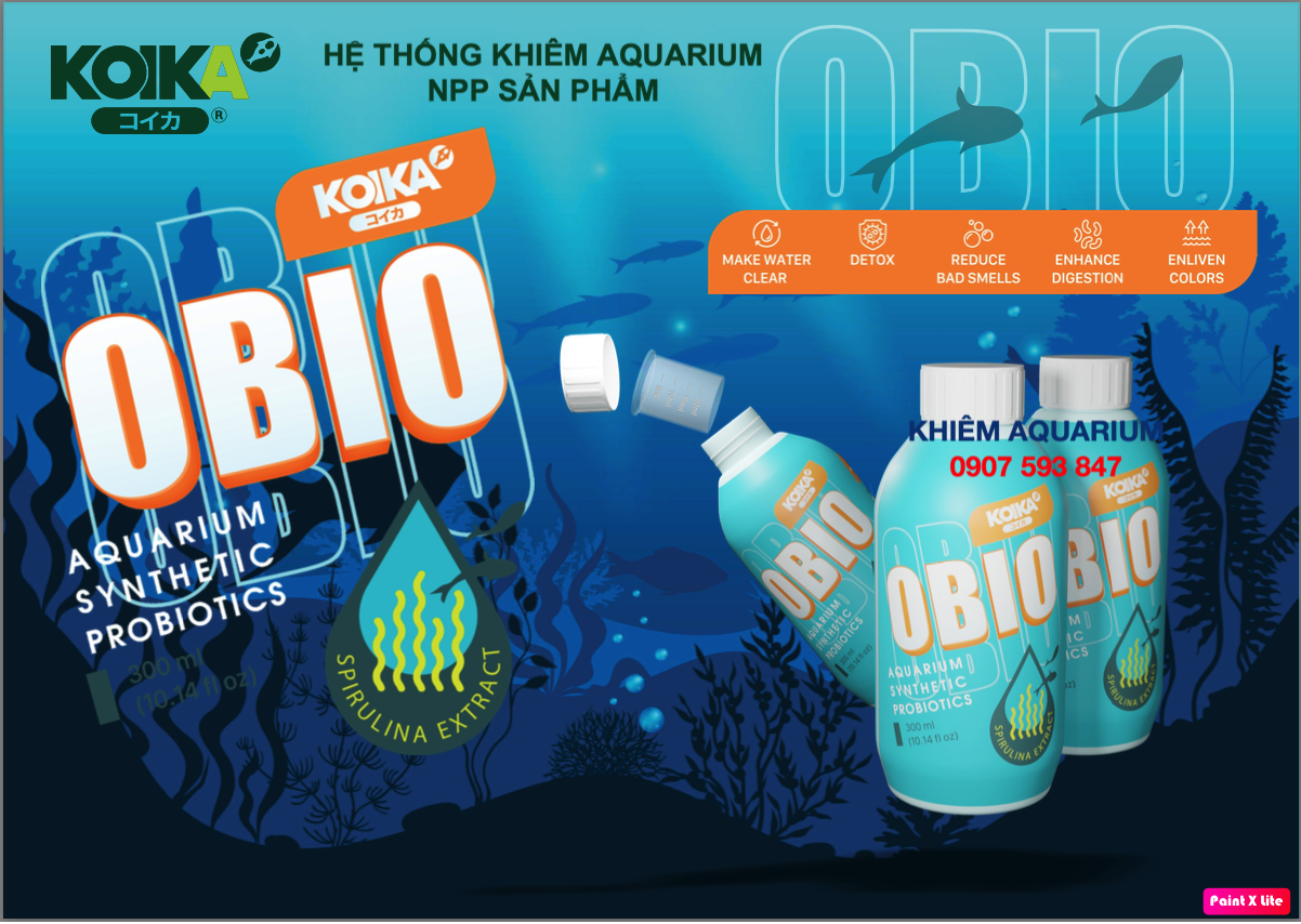 Koika OBIO Vi sinh, men tiêu hoá cao cấp chiết suất từ tảo biển giúp trong