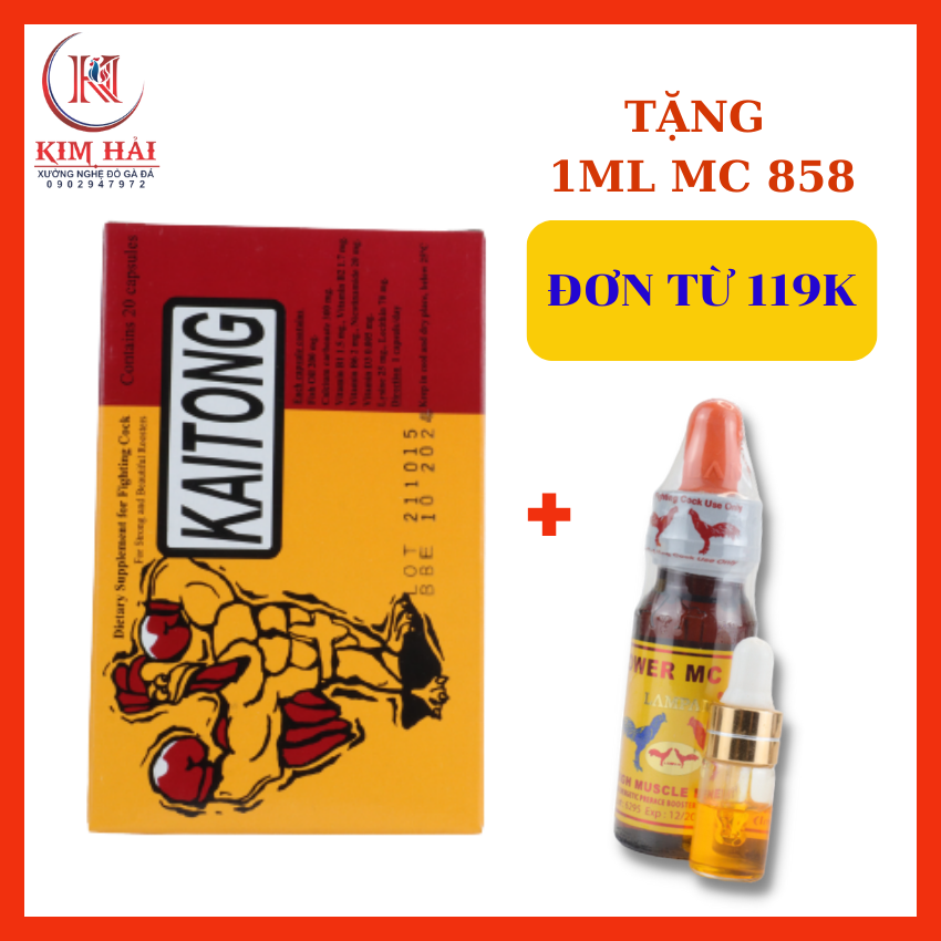 thuốc gà đá-Kaitong (sâm Thái Lan)-hộp 2 vỉ x 20 viên-uống nuôi hằng ngày-nuôi 2 tuần trước đá.