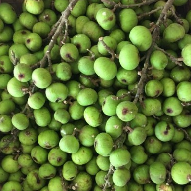 Giảm- 1kg quả sung khô thái lát thơm ngon a11 loại 01
