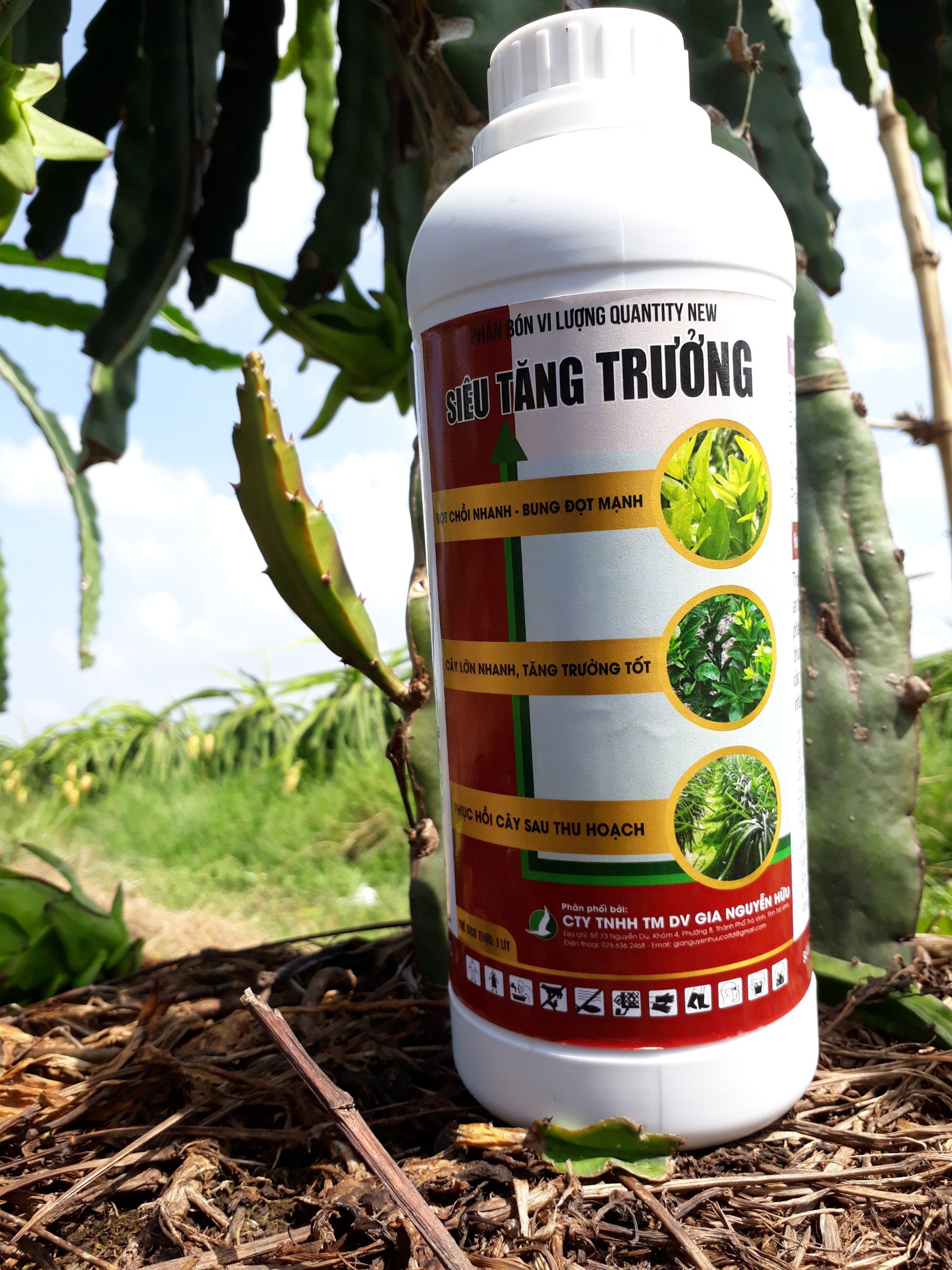 Siêu tăng trưởng - ra rễ nhanh - bung đọt mạnh - phục hồi cây