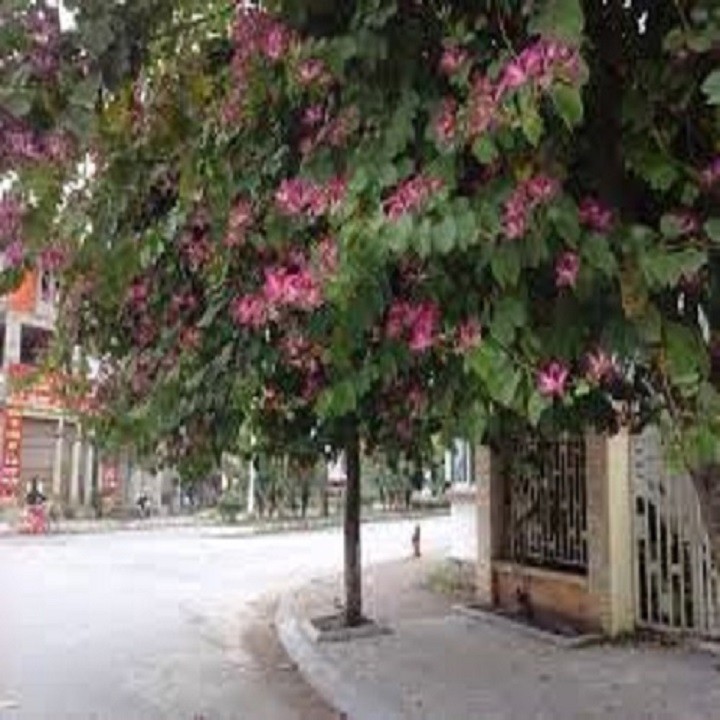 WkOgzVvE6LsDyD6IyuKp_simg_d0daf0_800x1200_max.jpg