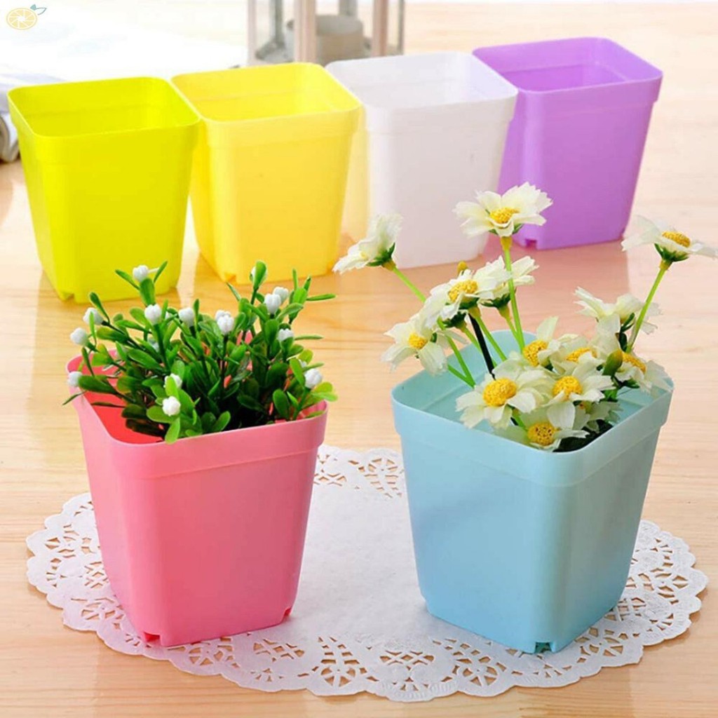 Combo 05 chậu trồng sen đá đường kính chậu 7*7cm nhiều màu sắc đẹp mắt