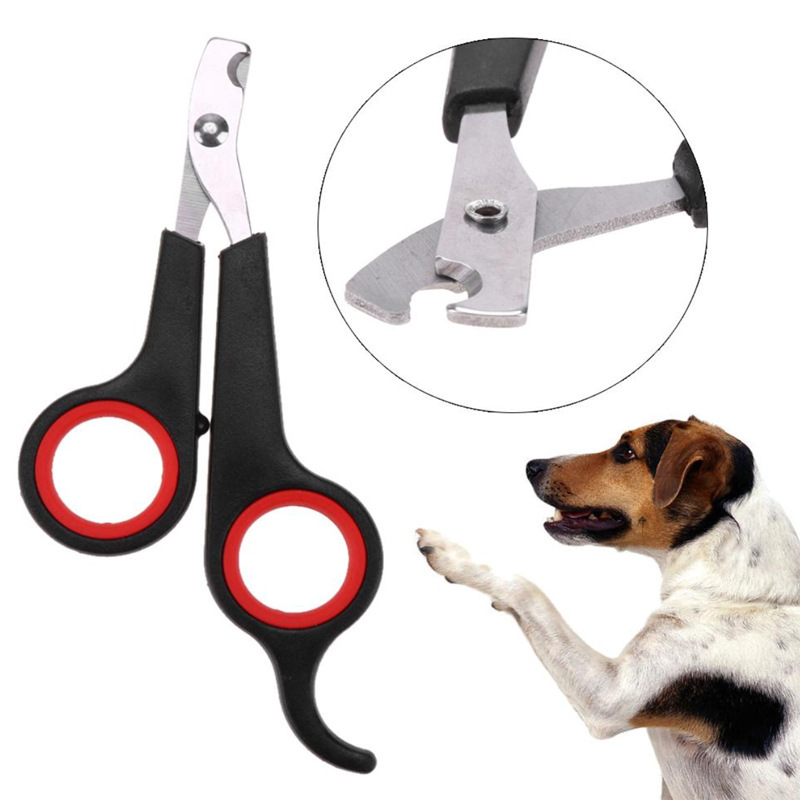 Dụng cụ chăm sóc móng cho thú cưng ama113
