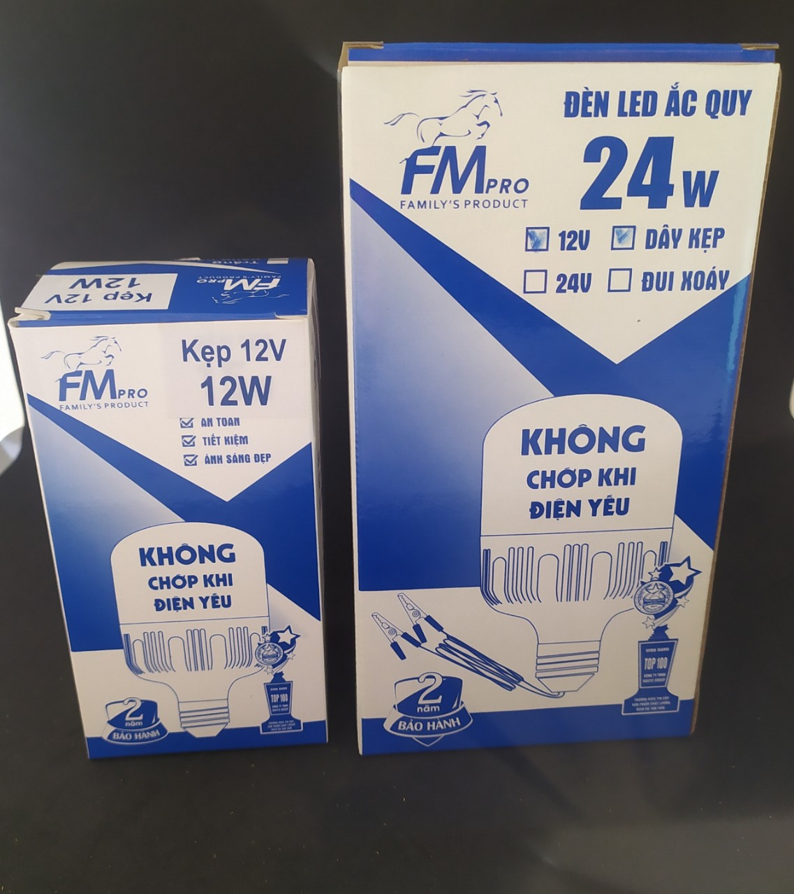 Bóng đèn kẹp bình 12v ắc quy 12w, 24w