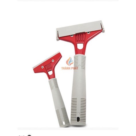 [HCM]Cây Sủi sàn-kính Chuyên Dụng.