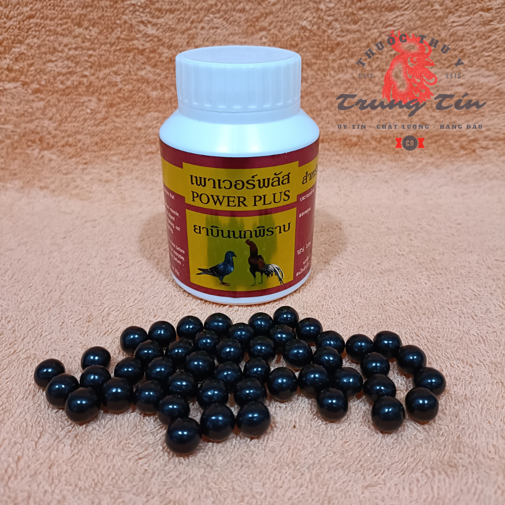 HCM - Thuốc nuôi cho gà đá cao cấp POWER PLUS - 1 hủ / 100 viên (sung hừng , mau lên bo , sức bền tốt , lực chân - cánh chắc khỏe)