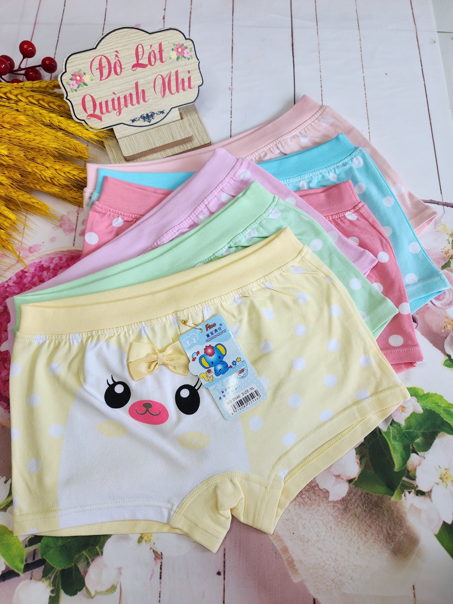 COMBO 5 Quần Lót Đùi Bé Gái (0546) Size :7 - 30Kg, Cotton 100% Thấm Hút Tốt Mềm Mại, Giãn Tốt Cực Xinh Xắn - Đồ Lót Quỳnh Nhi