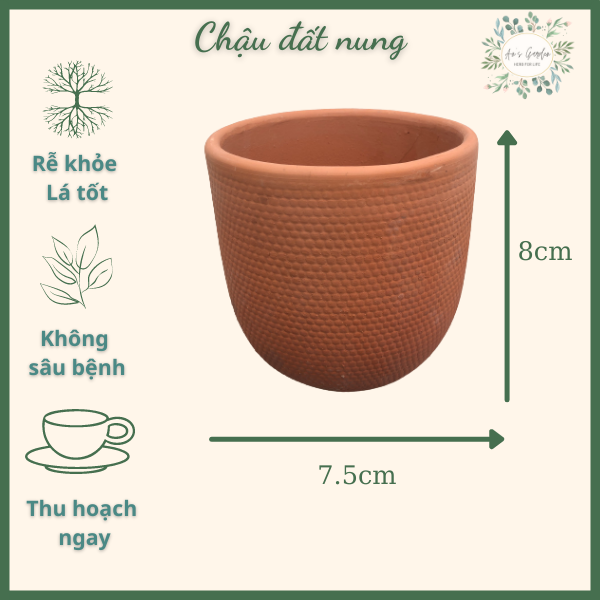 Chậu gốm đất nung nhỏ, kích thước 8x7.5