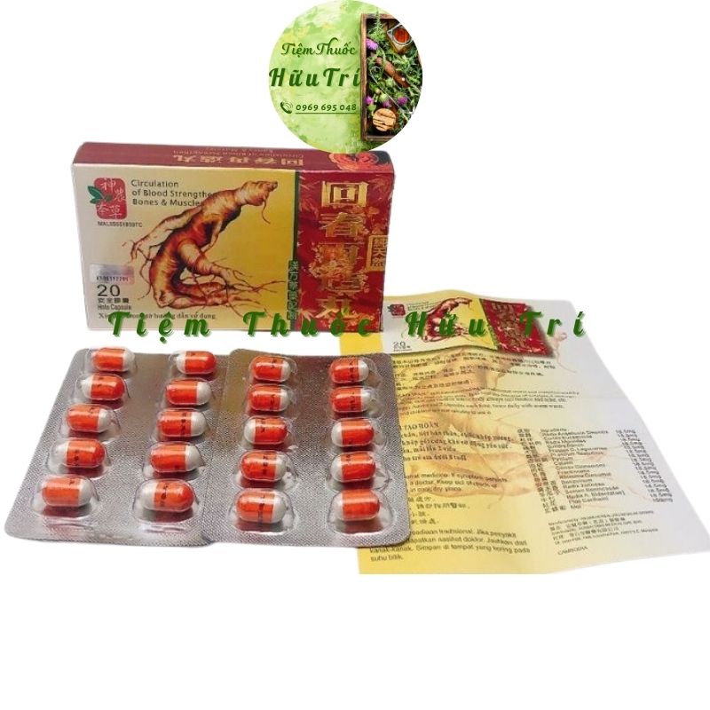 Hồi sinh tái tạo hoàn 20 viên – hồi xuân