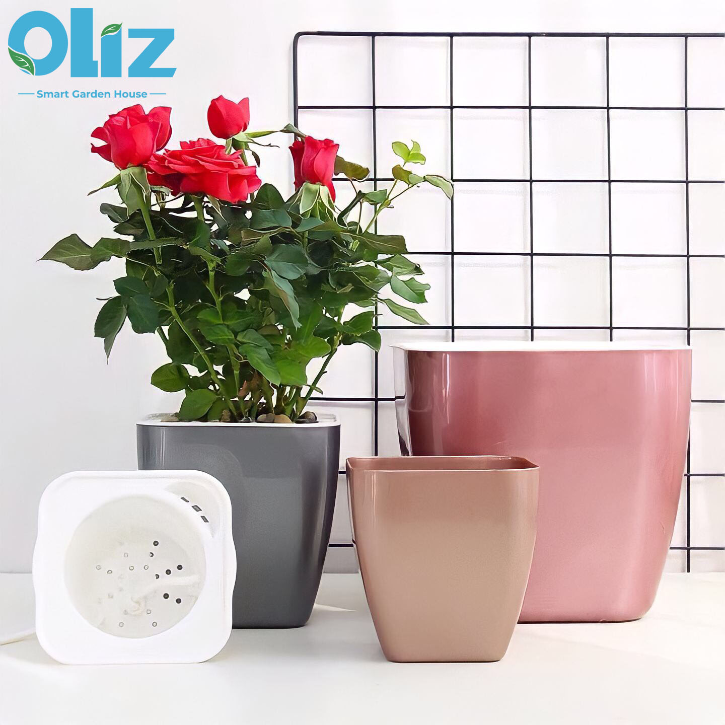 Chậu trồng cây đẹp để bàn Oliz-G1 tự tưới nước cho cây