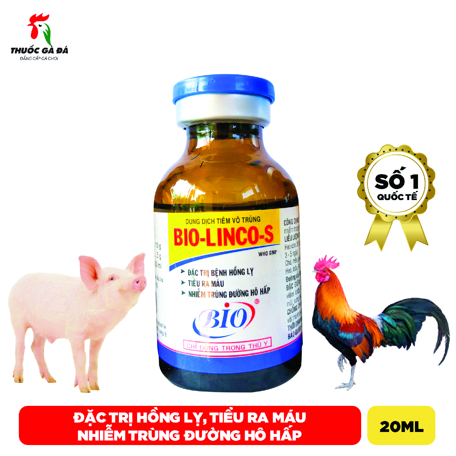 Bio lincos gà khò khè, tiểu ra máu 20ml