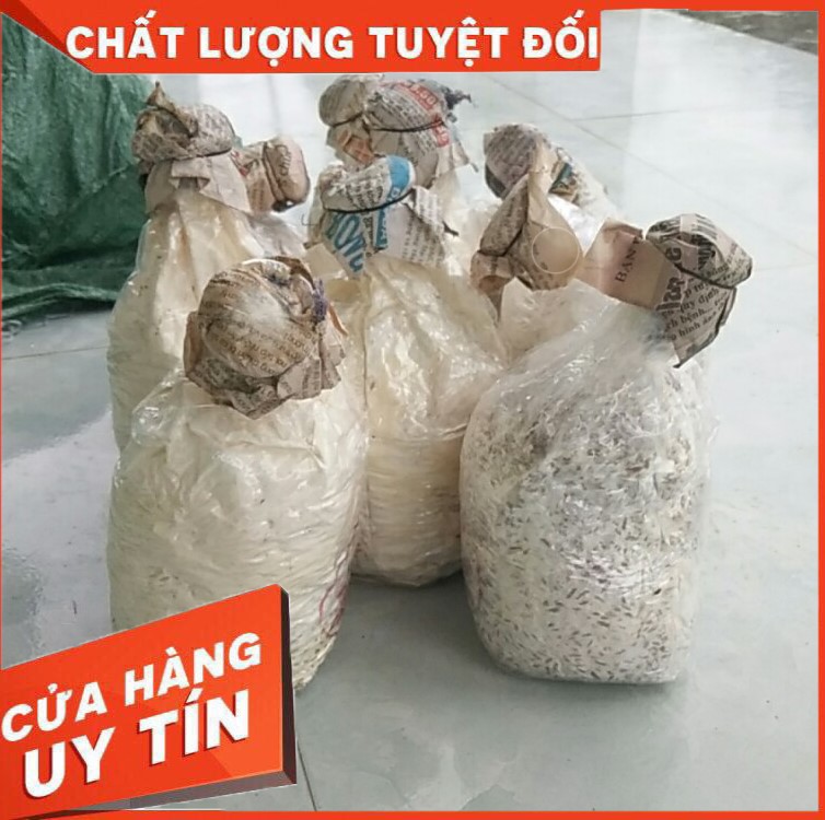 Meo nấm bào ngư