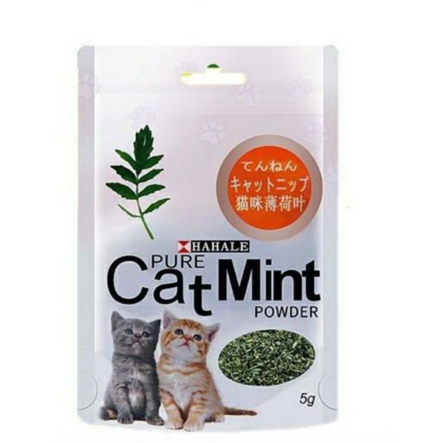 Cỏ bạc hà/ catnip/ catmint cho mèo