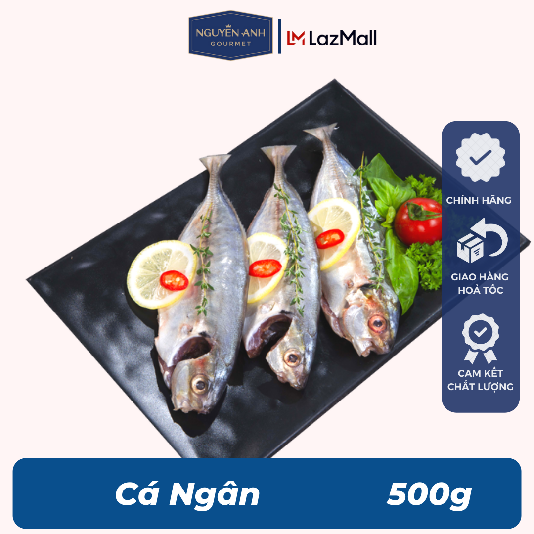 Cá ngân Nguyên Anh đặc sản Phú Quốc hải sản tươi sống như cá, tôm tươi, mực tươi loại 500gr Hải Sản Nguyên Anh.