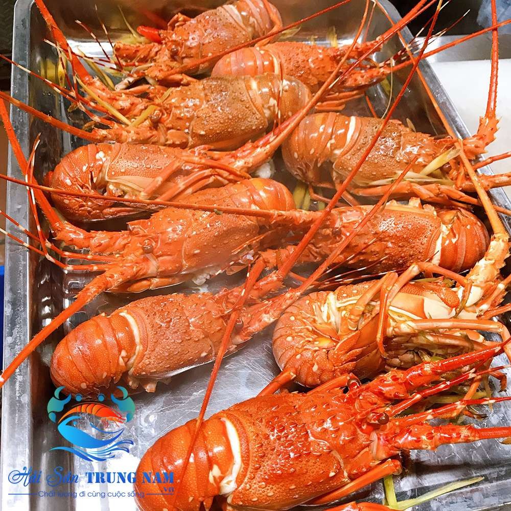 Tôm Hùm Xanh Nha Trang Giao Nhanh HCM
