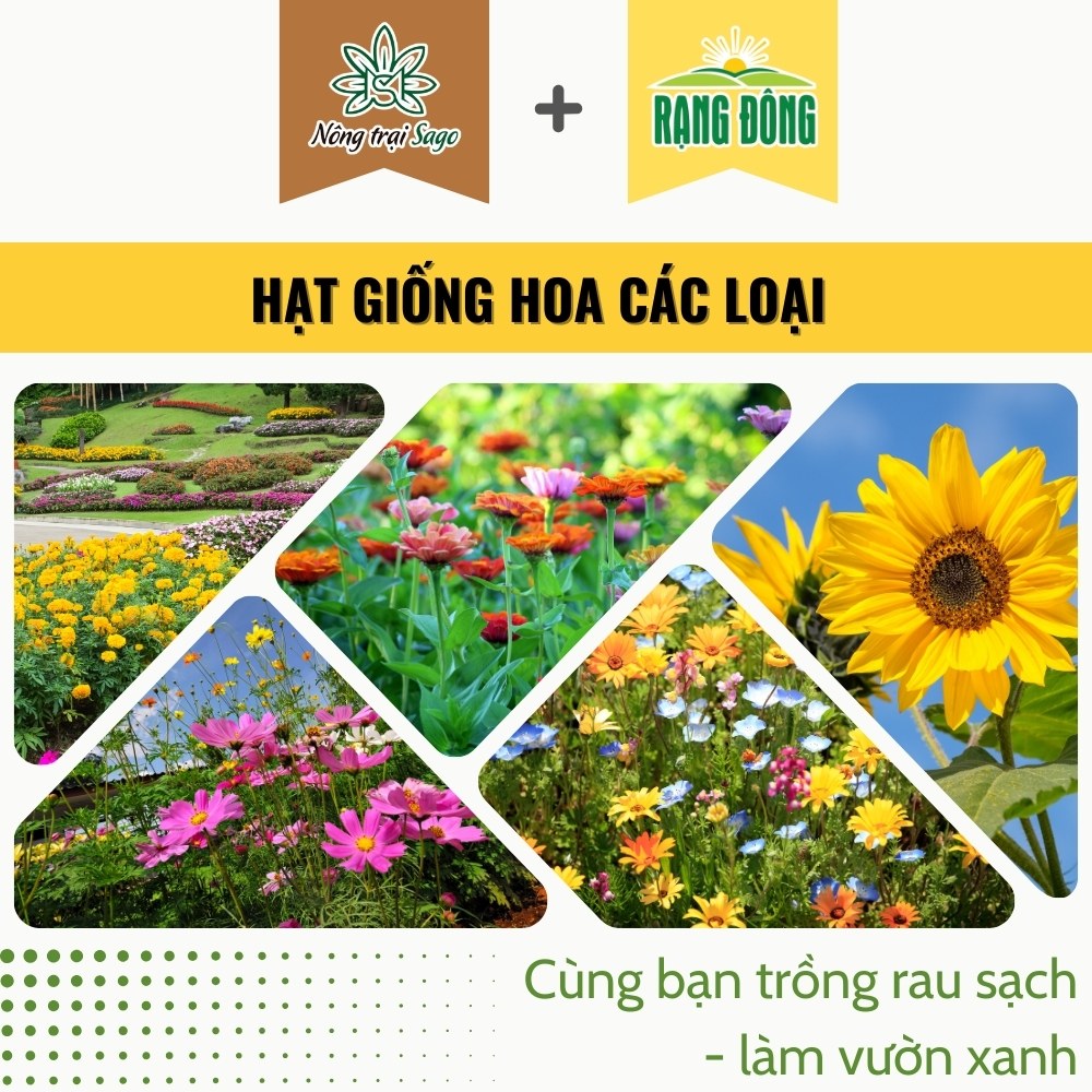 Hạt giống Hoa các loại, nhiều màu sắc, nhiều loại thích hợp trồng chậu và sân vườn, sinh trưởng khỏe hiệu Hạt giống Rạng Đông - Nông Trại Sago