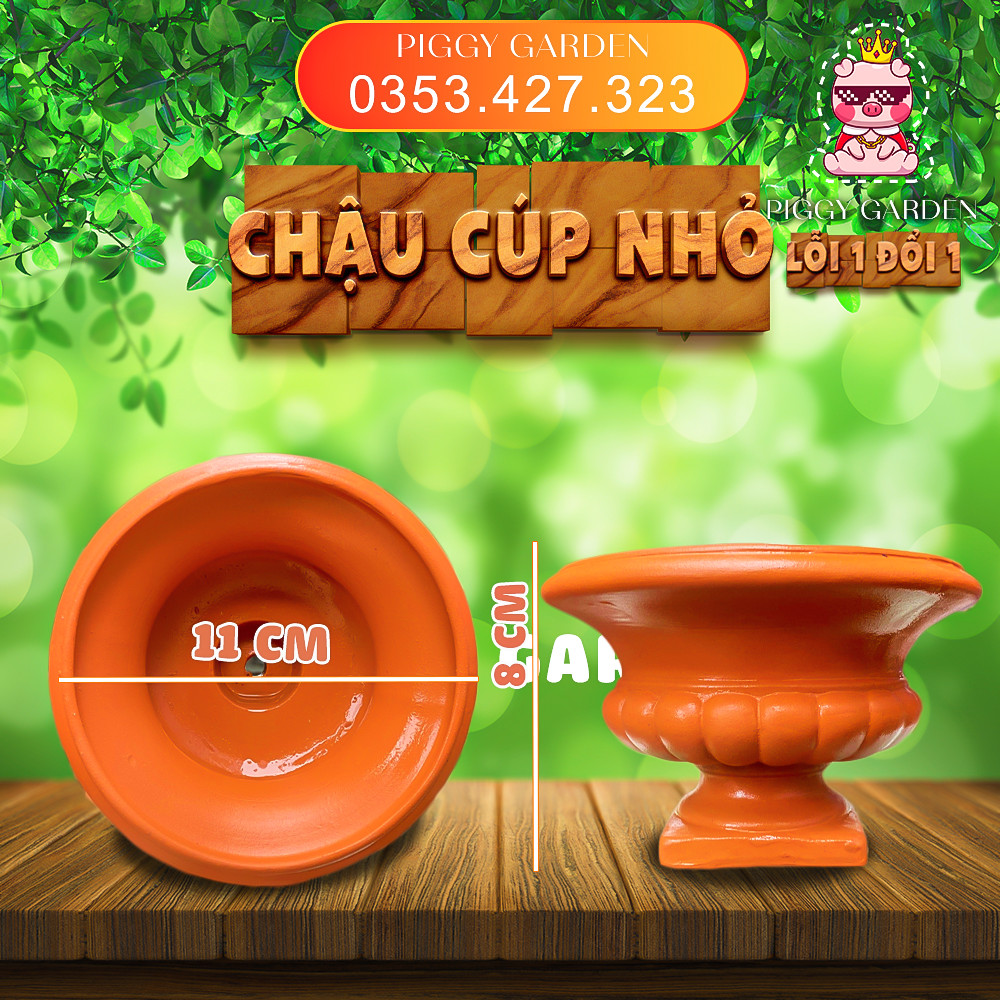 Chậu đất nung - Chậu trồng sen đá, xương rồng - Chậu cúp nhỏ miệng 11cm, cao 8cm