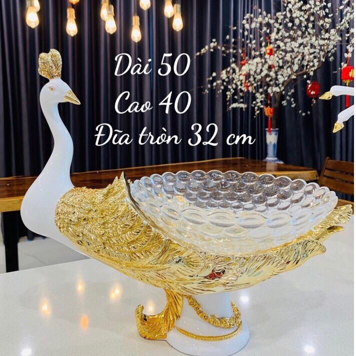 ✅ khay công đa năng đựng trái cây , cắm hoa tươi