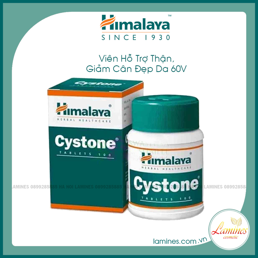 Himalaya Cystone - Viên hỗ trợ Thận của Himalaya | 60 Viên