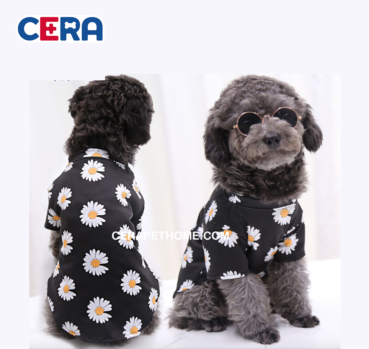 Áo thun hoa cúc dễ thương cho chó mèo - quần áo 021