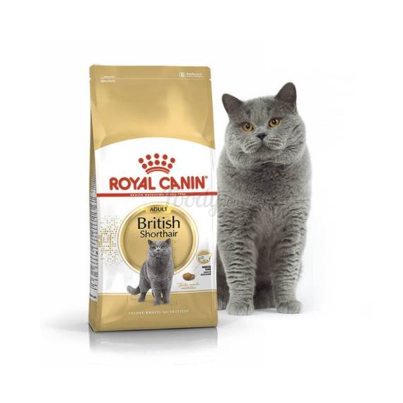 Royal Canin British Shorthair 2kg Thức ăn hạt cao cấp cho mèo Anh lông ngắn