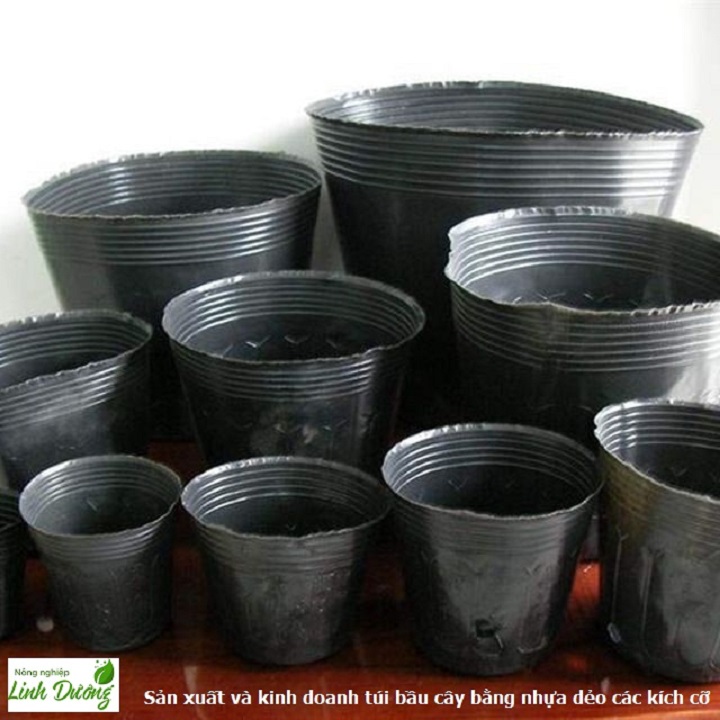 1kg Bịch bầu ươm cây cỡ 16x14