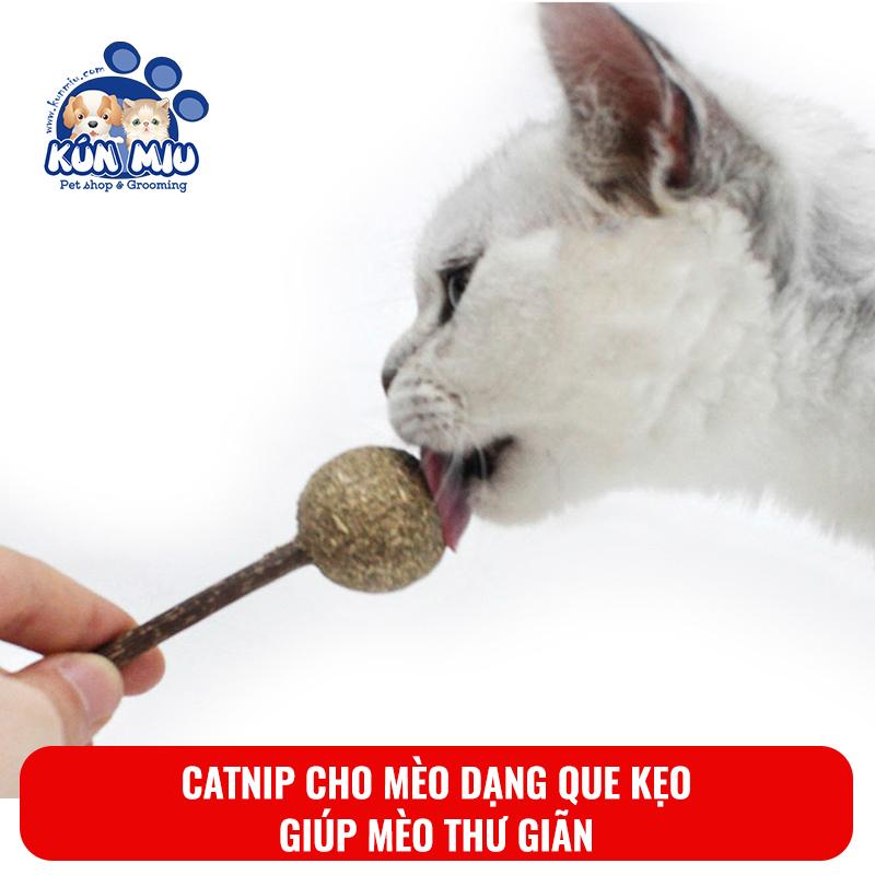 [Hoàn Tiền 10%] Catnip cho mèo dạng que kẹo Kún Miu, đồ chơi catnip cho mèo thư giãn