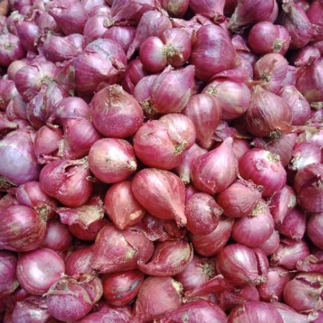 1KG Hành tím Vĩnh Châu Sóc Trăng chuẩn - Thiên Thảo Organic