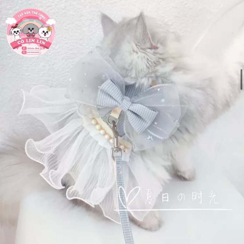 Yếm dắt công chúa kèm dây cho chó mèo dưới 4kg