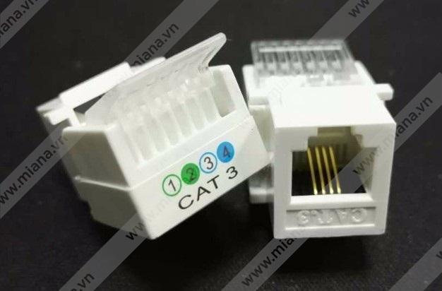 Nhân điện thoại RJ11 CAT3 AMP, giắc cắm điện thoại âm tường