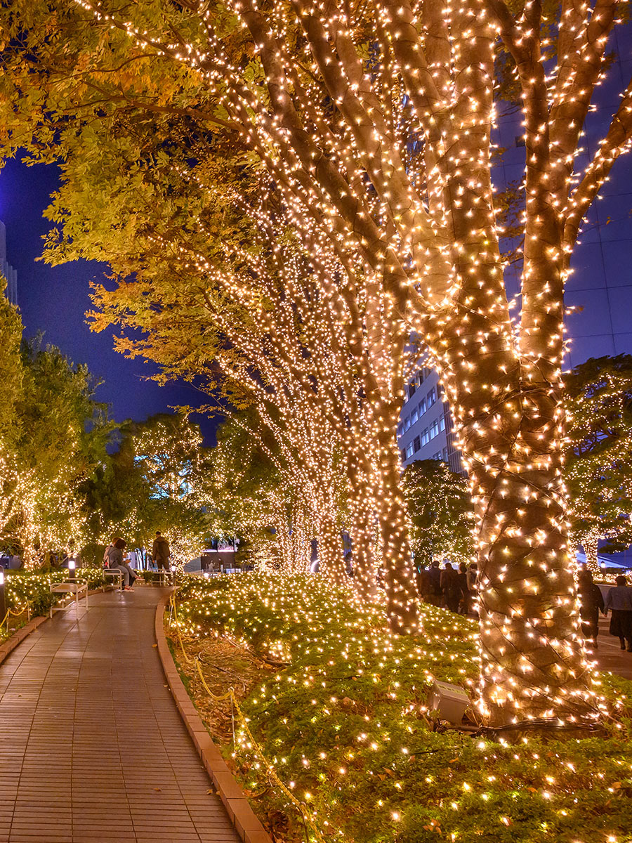 Dây Đèn Led Trang Trí 50M Vàng, Đèn Trang Trí Quán Cà Phê Cuốn Dây Trang Trí Ngoài Trời - Bóng LED cao cấp Đèn nháy trang trí, 50M DÂY ĐÈN LED