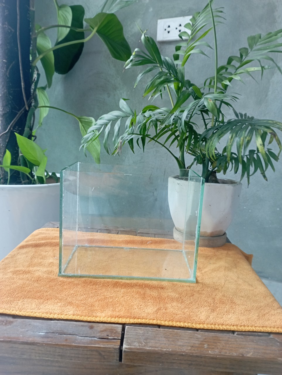 Bể cá betta, hồ thủy sinh, bể cá cảnh để bàn mini kích thước nhỏ 20x12x15cm