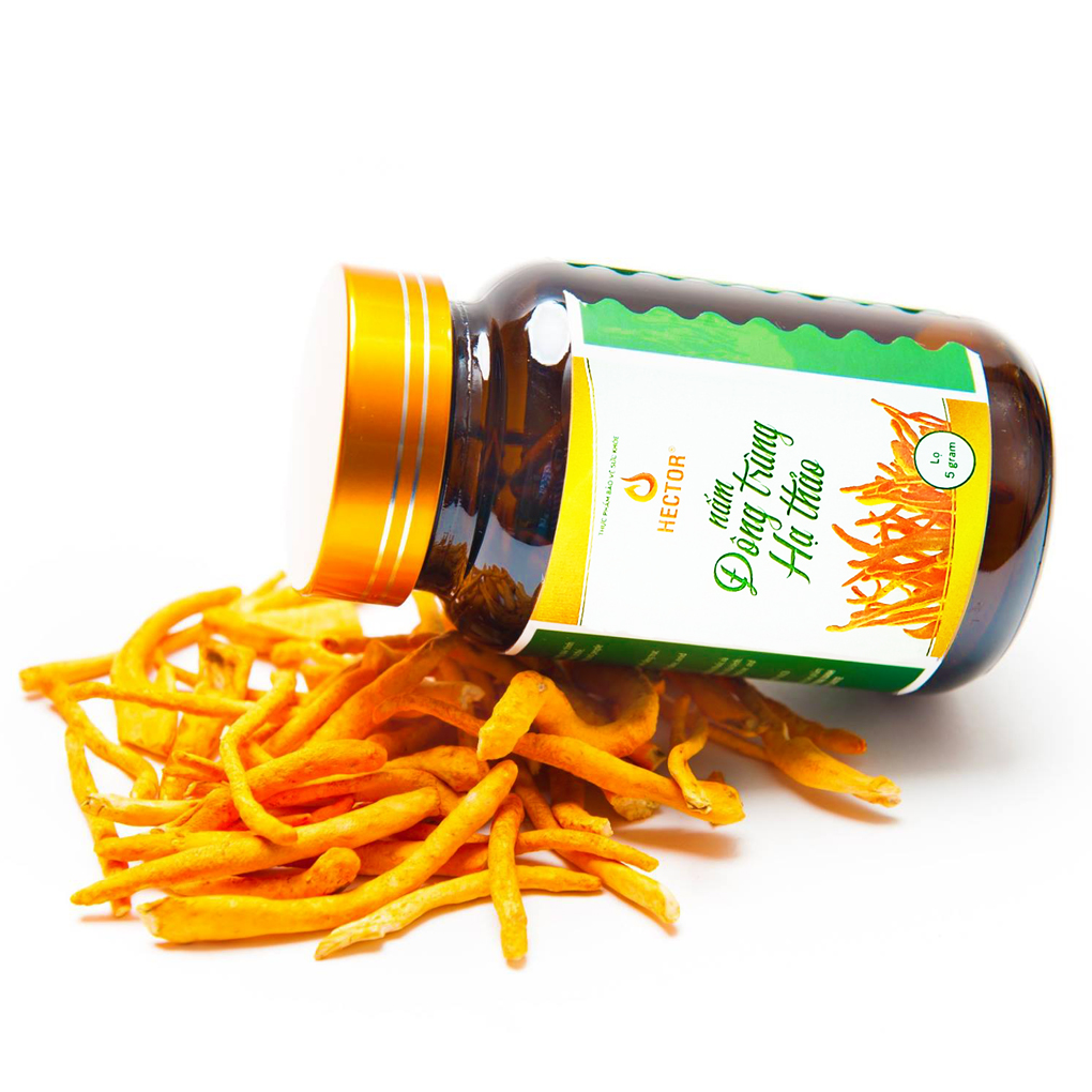 Đông trùng hạ thảo hector 100% nguyên chất dạng sợi sấy thăng hoa