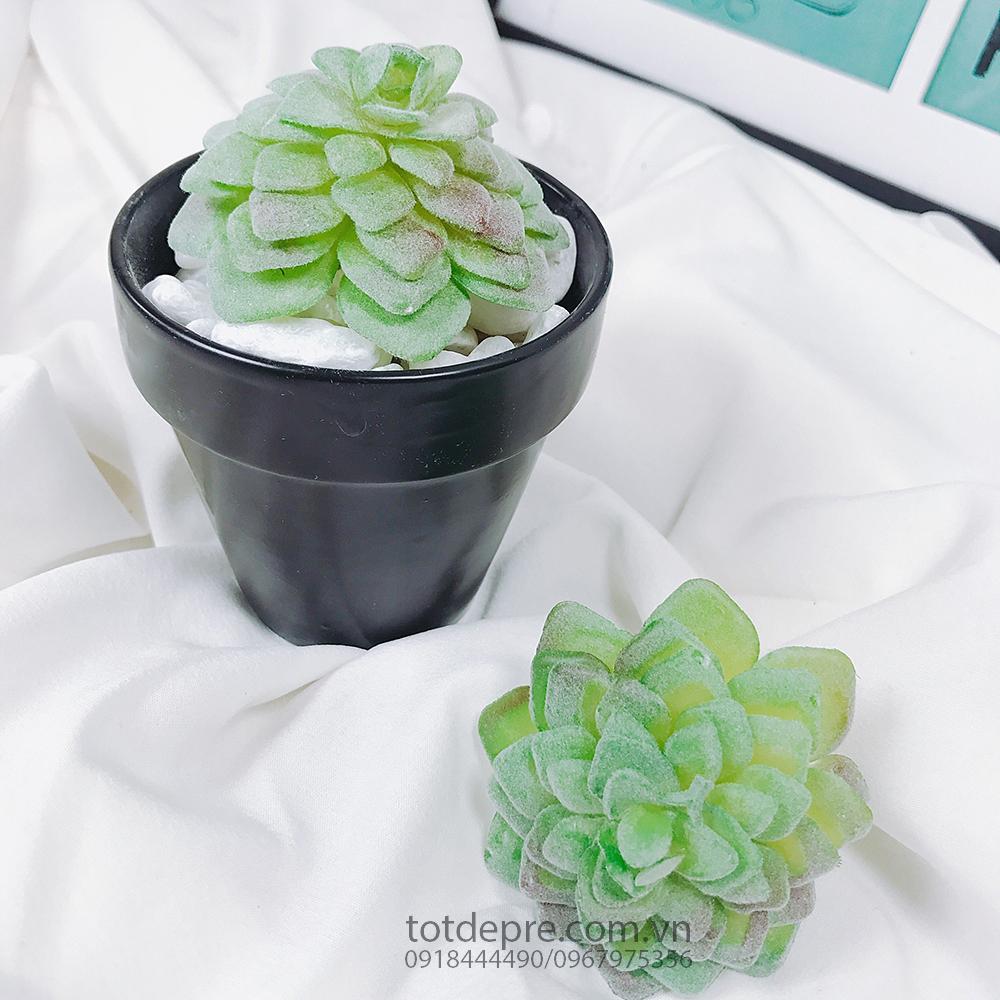 Sen đá nhựa silicon phủ phấn - Cây Giả MN01