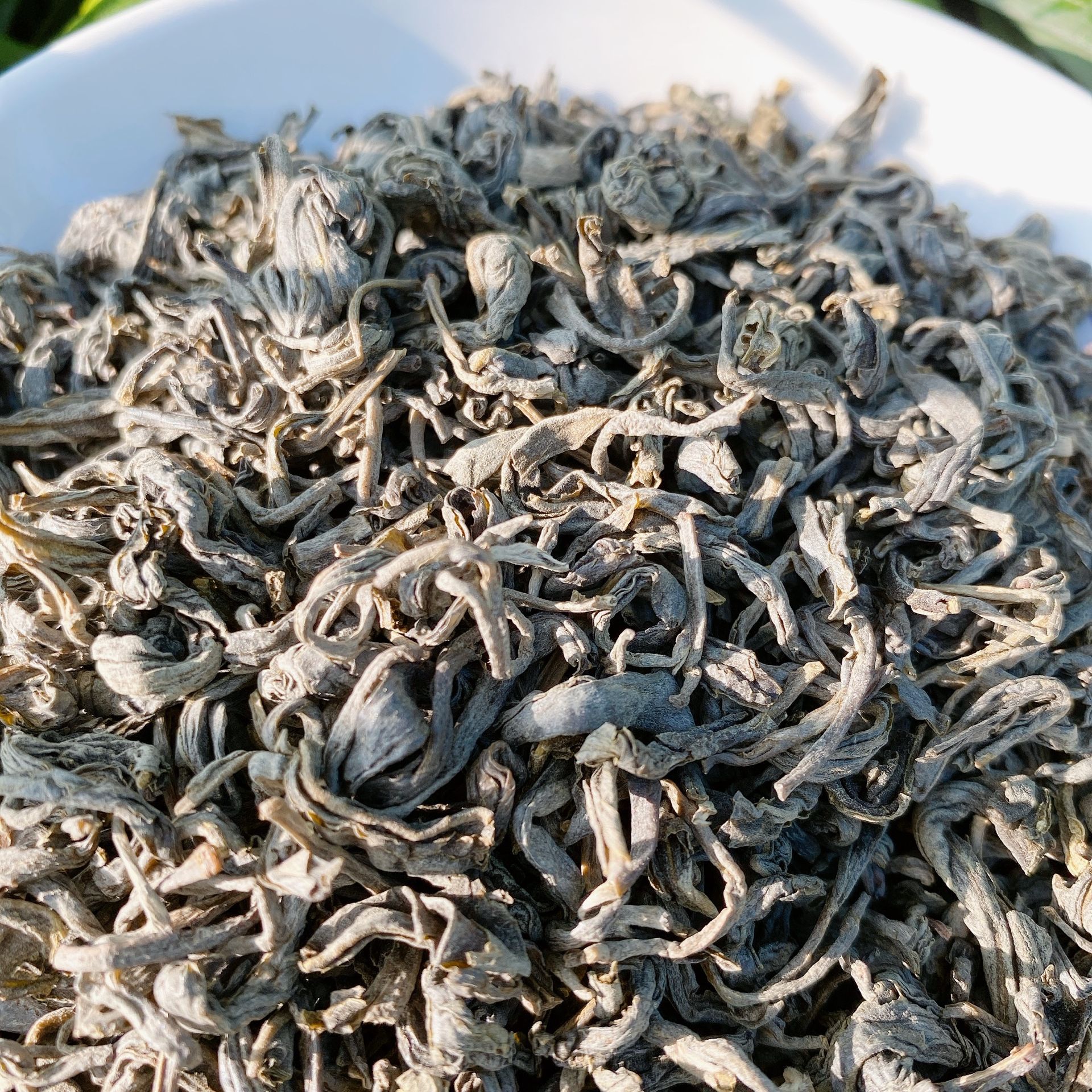 [CÓ MÃ GIẢM GIÁ] Trà Shan Tuyết Lâm Đồng 1kg | Đặc sản Lâm Đồng | Loại 1 siêu sạch, hàng tuyển chọn