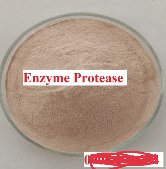 MEN VI SINH  Enzyme Protease 5.000 Ui