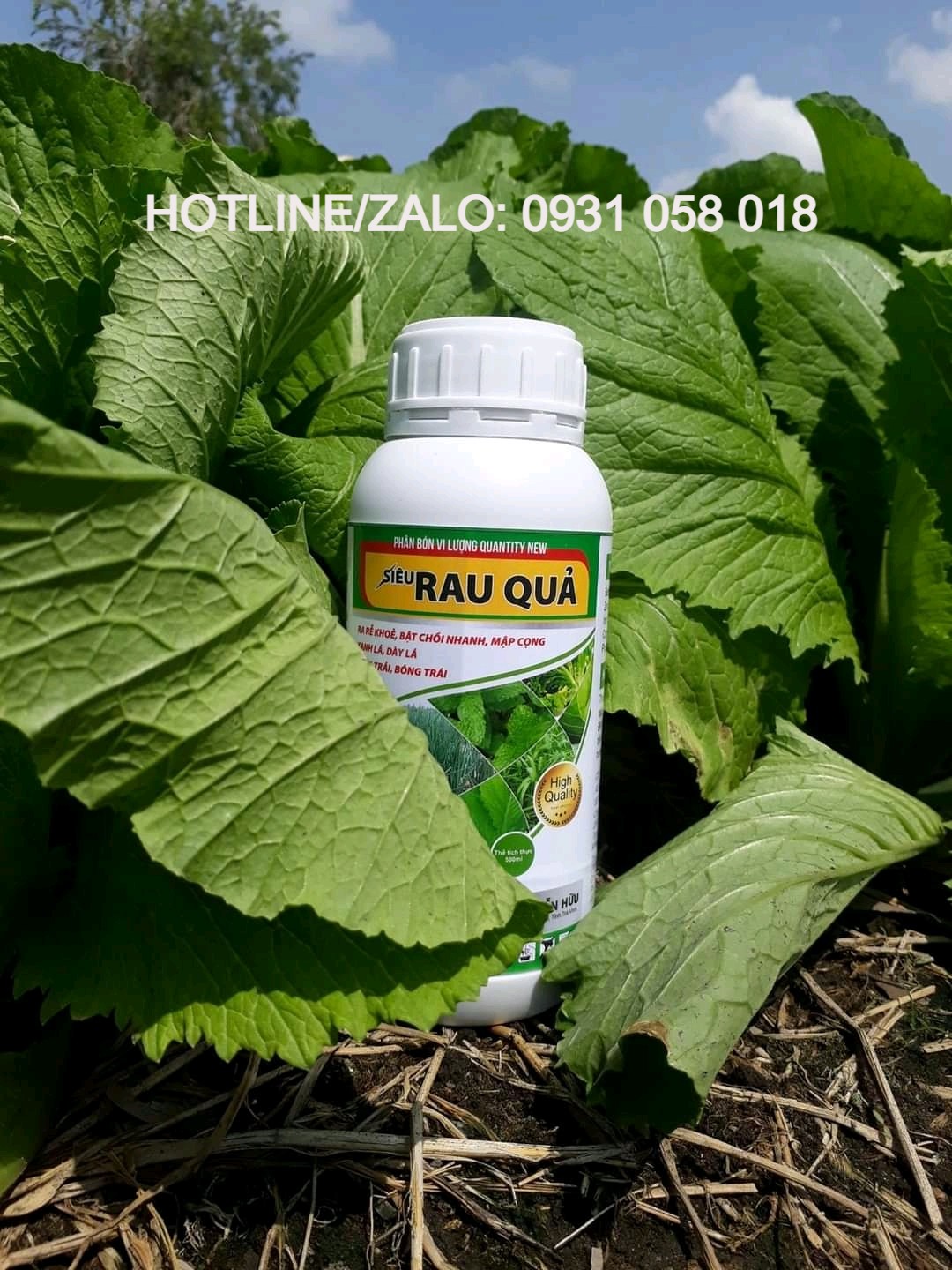Phân bón cho rau màu - giúp to lá, bự cọng, to trái - siêu rau quả 500ml