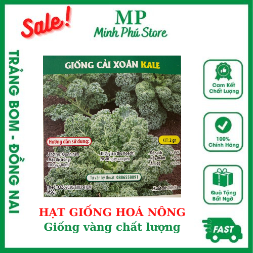 Giống Cải Xoăn Kale - 2g - Hạt Hoá Nông Chịu Nhiệt Trồng Quanh Năm Nảy Mầm Tốt Năng Suất Cao
