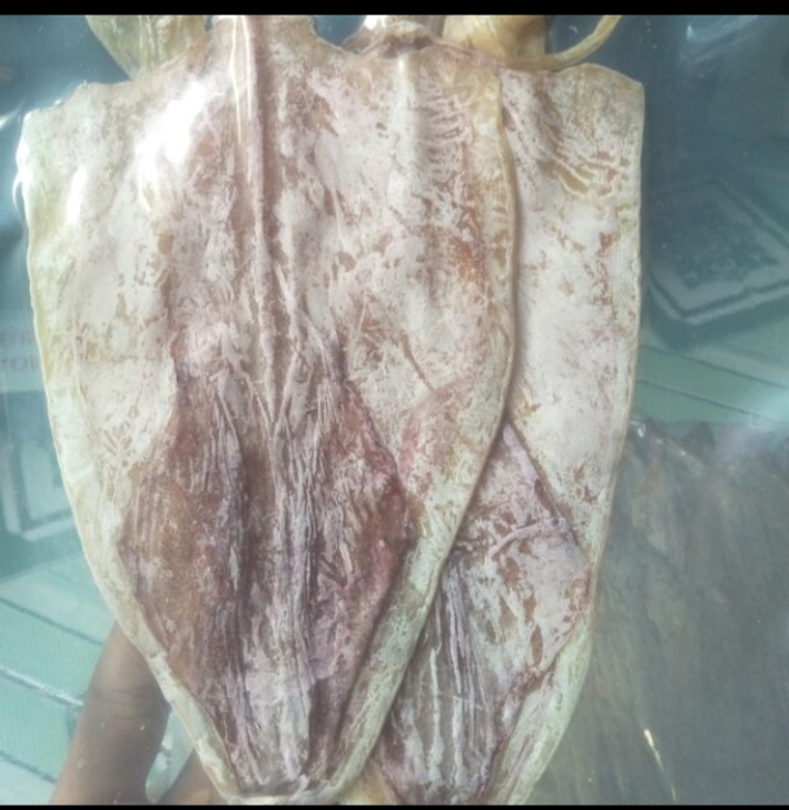 2 con khô mực khô to dày ngon ngọt