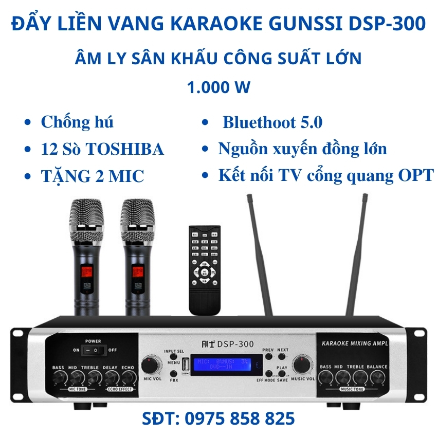 Đẩy liền vang kèm mic. Âm ly karaoke Bluetooth Gunssi DSP 300, Cục đẩy công suất lớn