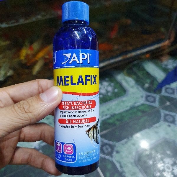 "Hoàn tiền đến 10%" API MELAFIX 118ML HỖ TRỢ NHIỄM KHUẨN CHO CÁC LOẠI CÁ