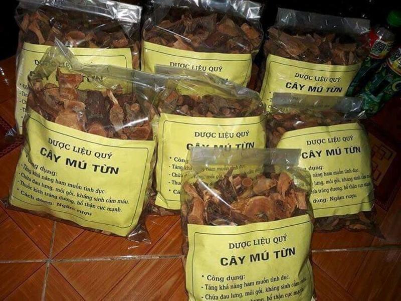 Cây mú từn 1kg