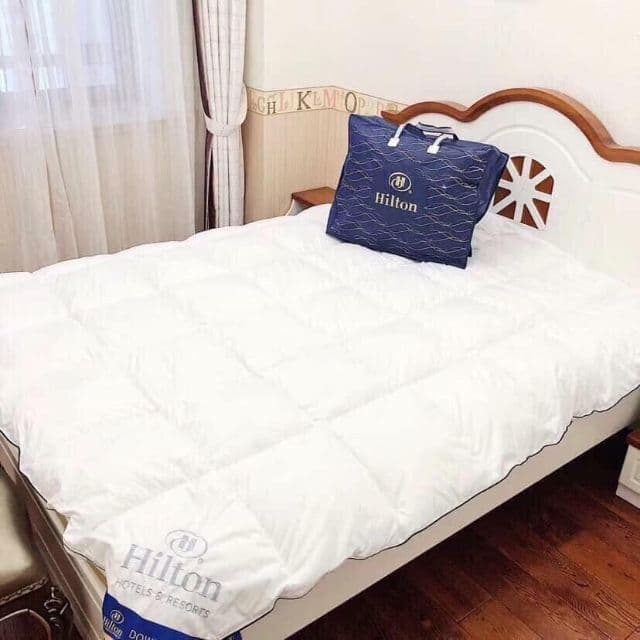 RUỘT CHĂN LÔNG VŨ HILTON CAO CẤP